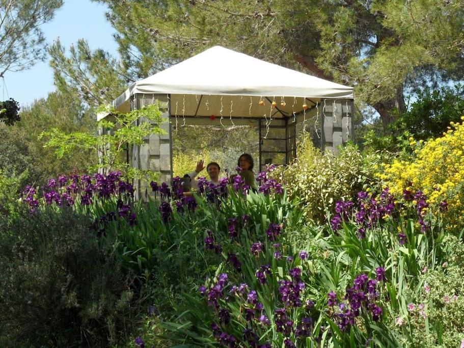 L'Oliveraie En Provence Lambesc Dış mekan fotoğraf